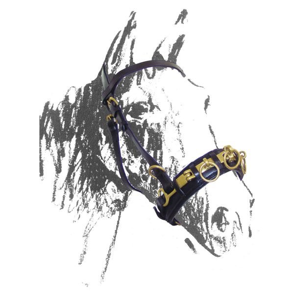 CAVEZZONE DOMA in cuoio