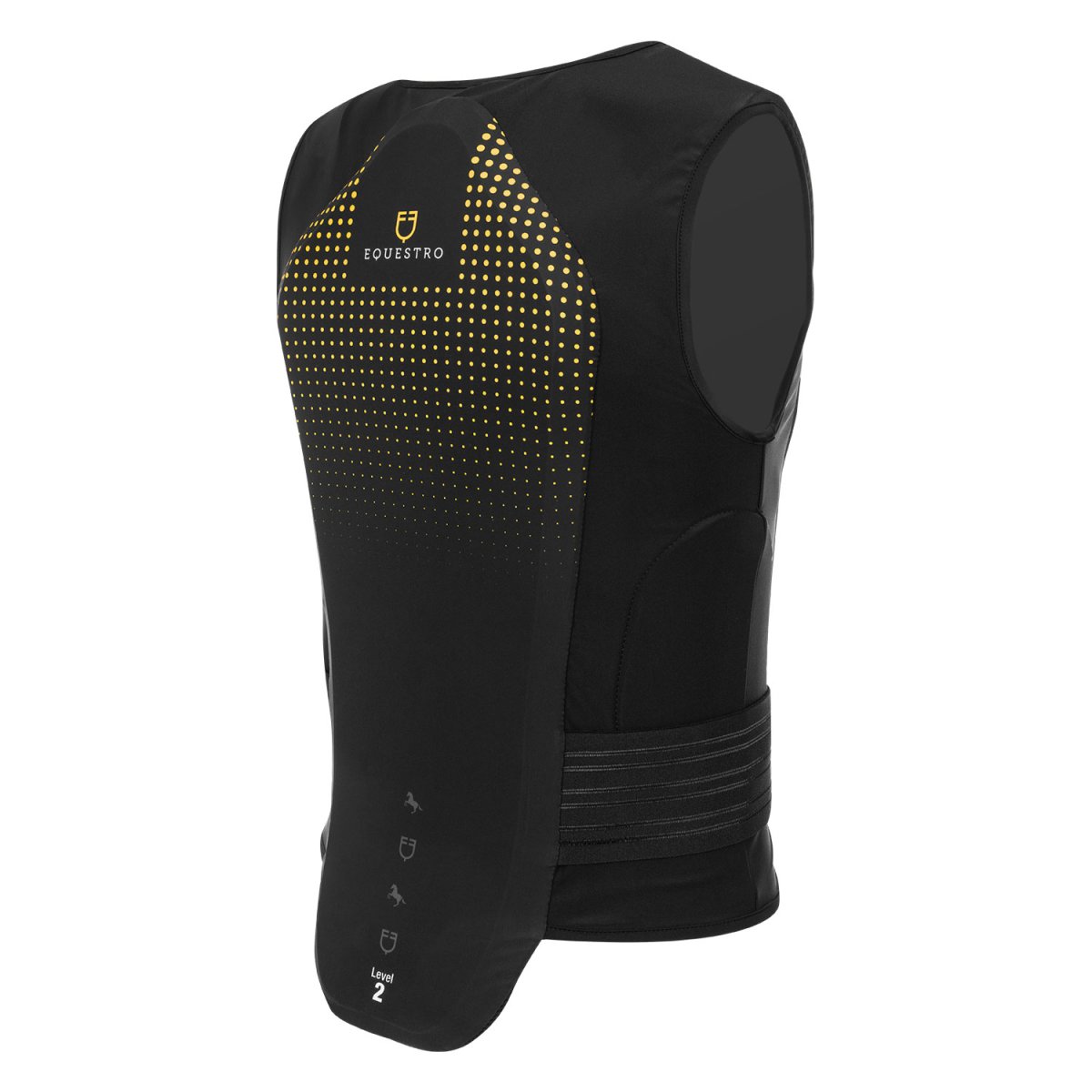 PARASCHIENA ADULTI DI LIVELLO 2 - immagine 3