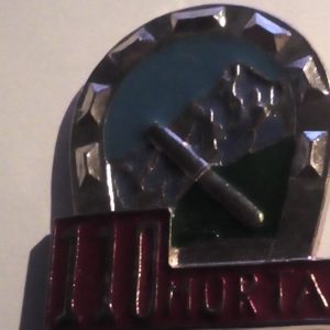 110a compagnia mortai battaglione Edolo