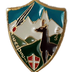 275a compagnia battaglione val Piave