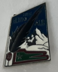 11° battaglione misto genio