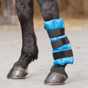 Stinchiera ghiaccio Rinfrescante Waldhausen