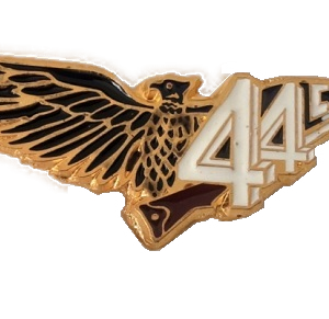 44a compagnia battaglione morbegno