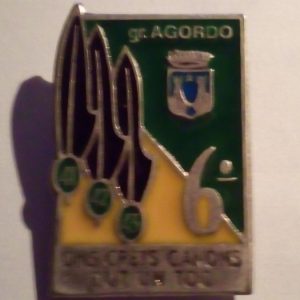 6° reggimento artiglieria da montagna gruppo Agordo