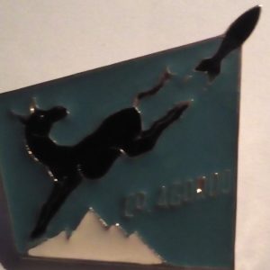 6° reggimento artiglieria da montagna gruppo Agordo 2