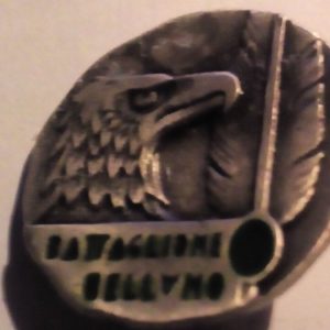 16° reggimento Alpini battaglione Belluno