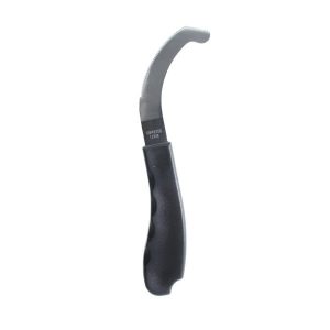 RASCHIETTO PER UOVA PARASSITI