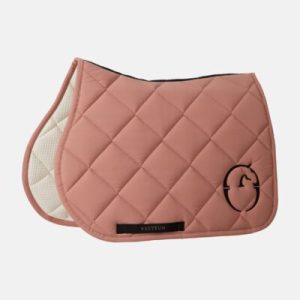 SOTTOSELLA DA SALTO TOYAMA