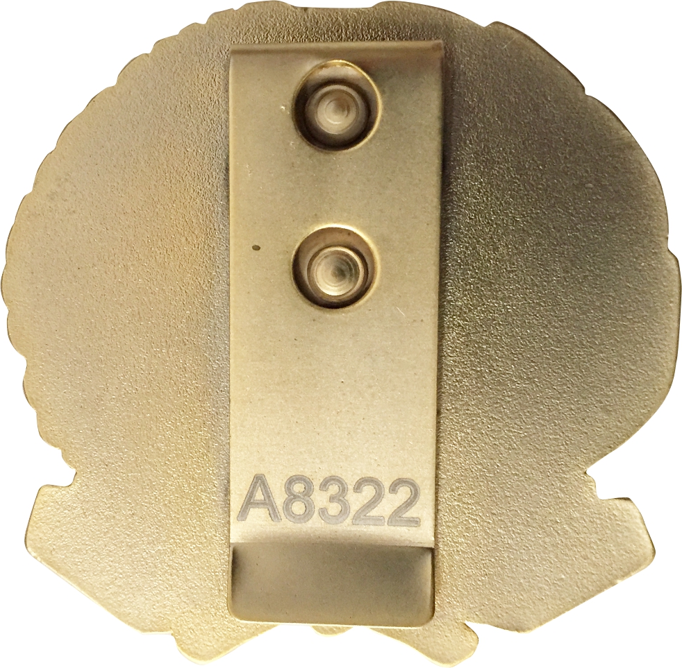 placca oro - immagine 3