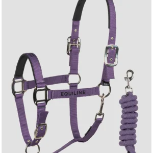 Set capezza e lunghina equiline