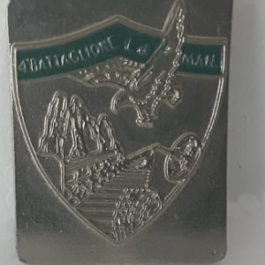 4° battaglione logistico di manovra secondo modello