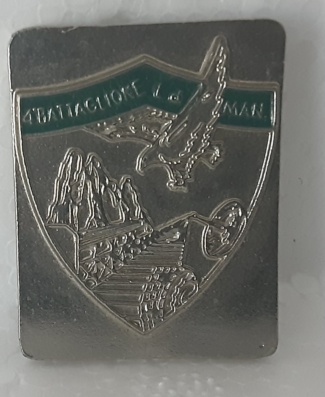 4° battaglione logistico di manovra secondo modello