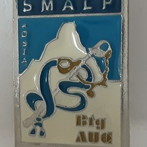 battaglione allievi ufficiali di complemento scuola militare alpina