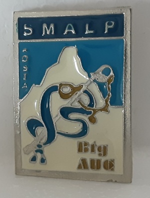 battaglione allievi ufficiali di complemento scuola militare alpina - immagine 2