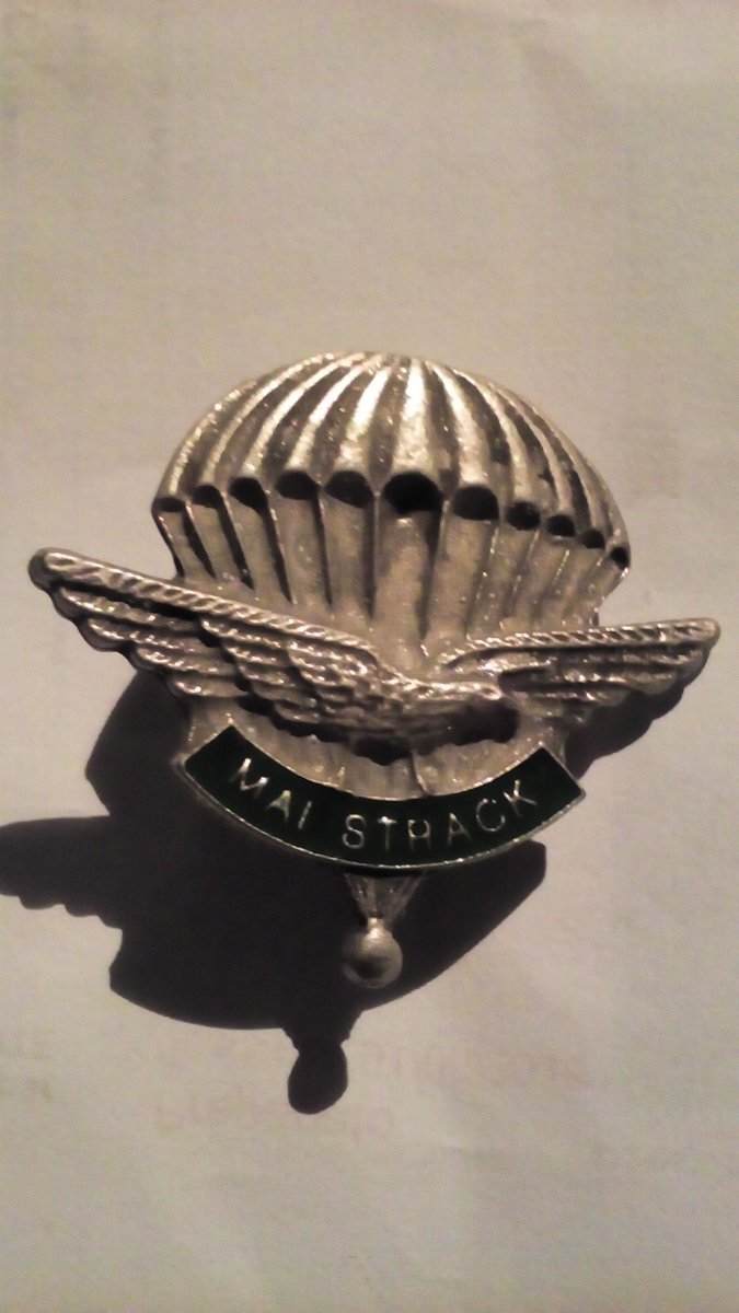 Truppe Carnia Cadore - immagine 2