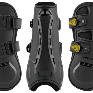 Paratendini Equestro Evolution