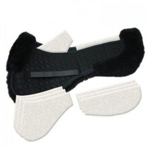 AGNELLINO SALVASCHIENA MATTES CORRECTIONAL