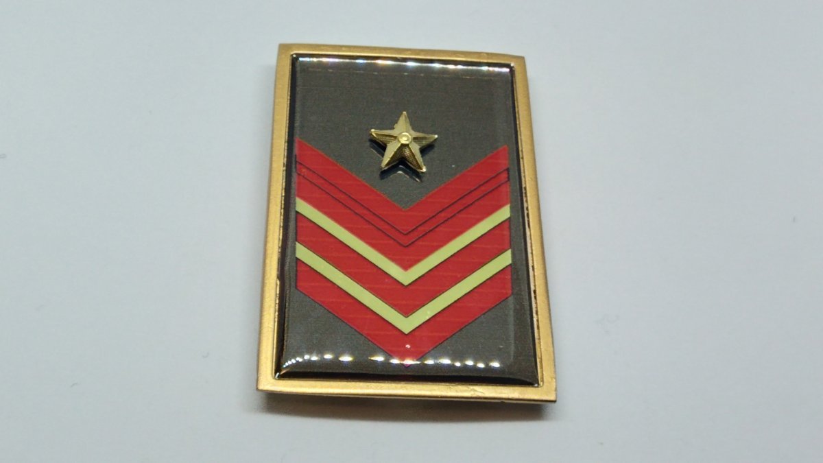 Appuntato scelto a qualifica speciale - immagine 2