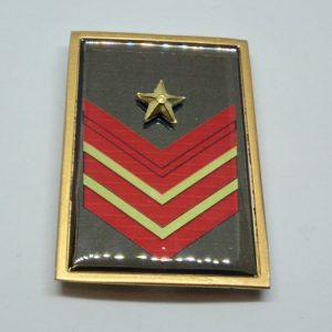 appuntato scelto a qualifica speciale