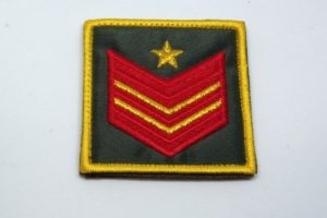 appuntato scelto a qualifica speciale