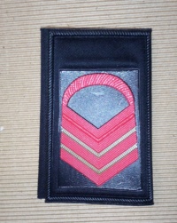 Set gradi caporalmaggiore capo scelto