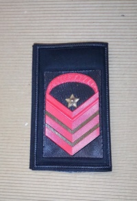 Set graduato aiutante