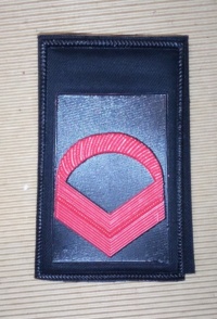 Primo graduato o caporalmaggiore