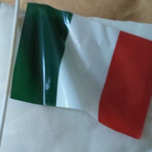 Bandierina plastica con asticella