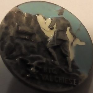 21° raggruppamento alpini da posizione