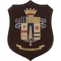 7° Reggimento crest