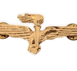 brevetto pilota militare osservatore paracadutista