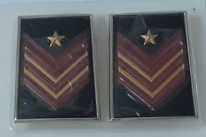 appuntato scelto a qualifica speciale