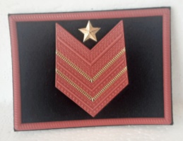 appuntato scelto a qualifica speciale