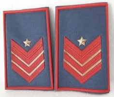 appuntato scelto qualifica speciale divisa estiva