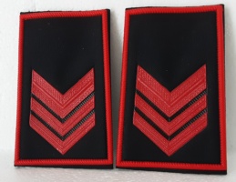 appuntato divisa invernale