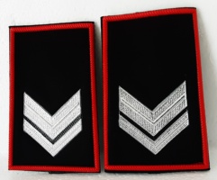 vicebrigadiere divisa invernale