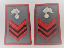 appuntato divisa estiva