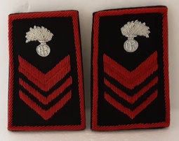 appuntato divisa invernale