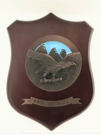 quinto reggimento artiglieria da montagna crest
