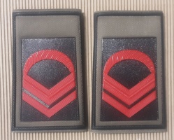 Caporalmaggiore o graduato scelto