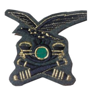 artiglieria da montagna (fregio nero/oro)