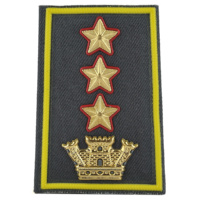 colonnello comandante di corpo