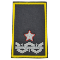 colonnello con incarichi speciali