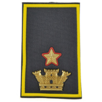 maggiore con incarichi speciali