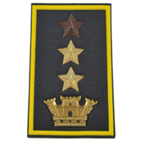 tenente colonnello con incarichi superiori