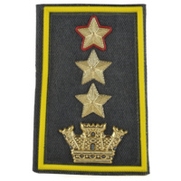 tenente colonnello con incarico del grado superiore