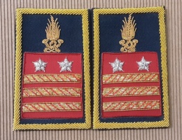 Luogotenente cariche speciali