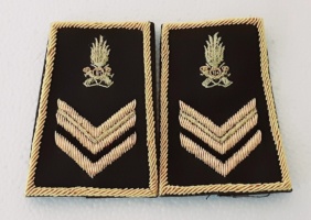 vice brigadiere guardia di finanza