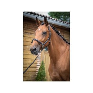 cavezza Grooming jump’in collezione one