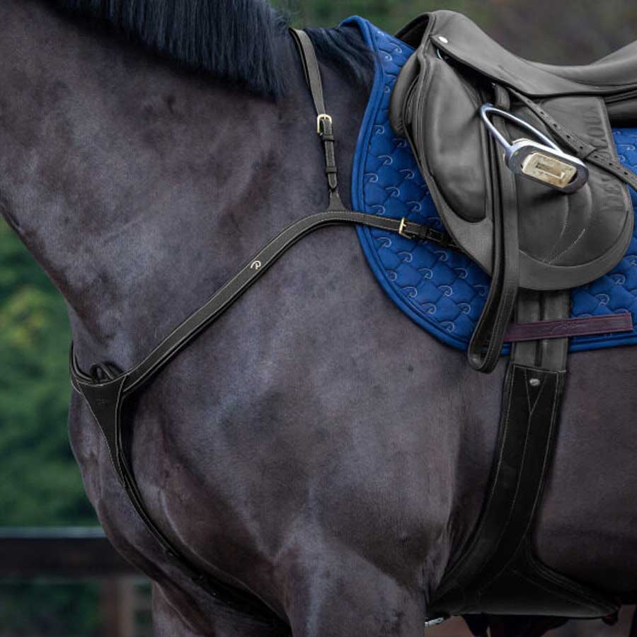 “D Collection” Anatomical Breastplate, Black - immagine 2